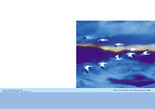 Annual Report 2005